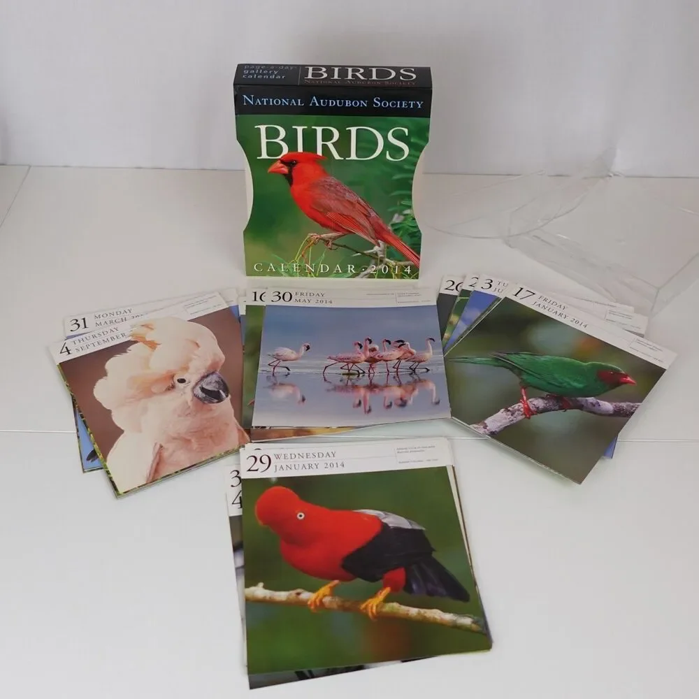Bird Calendar Pages Lot Nature Photos Junk Journal Scrapbook Ephemera Paper Pack - Picture 9 of 9
